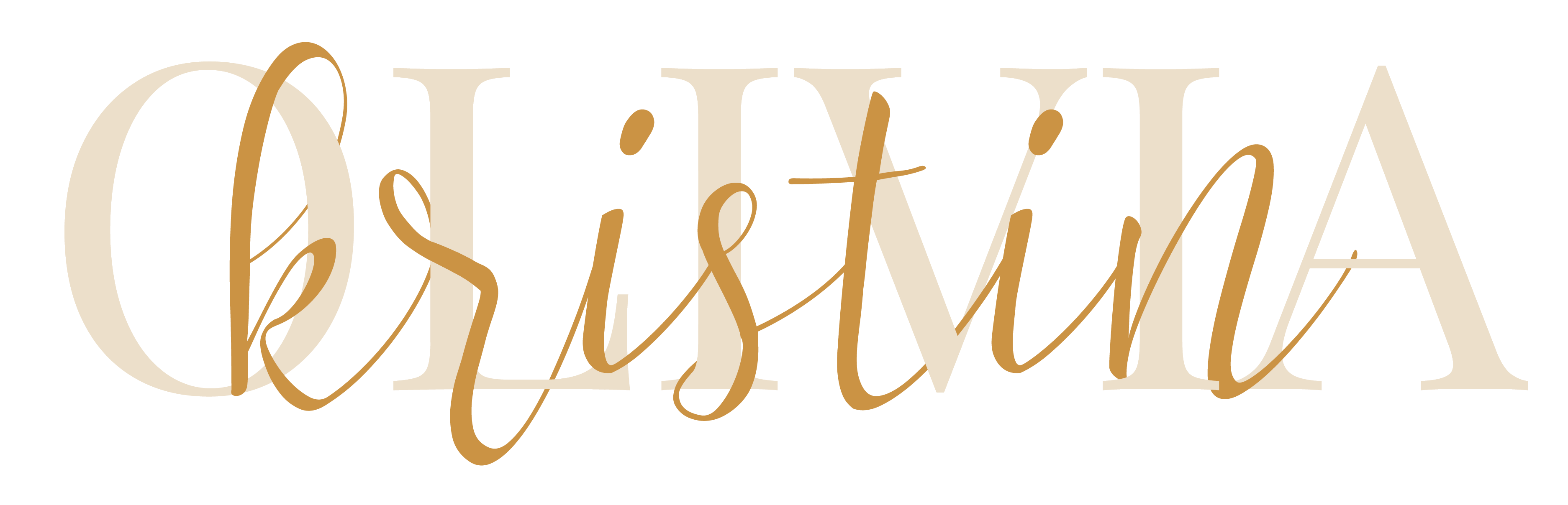 Kristin Diller | Portfolio